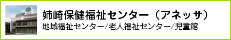 姉崎保健福祉センター（アネッサ）老人福祉センター/地域福祉センター/児童館