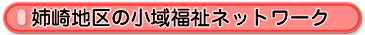 姉崎地区の小域福祉ネットワーク