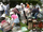 イベントサムネイル06